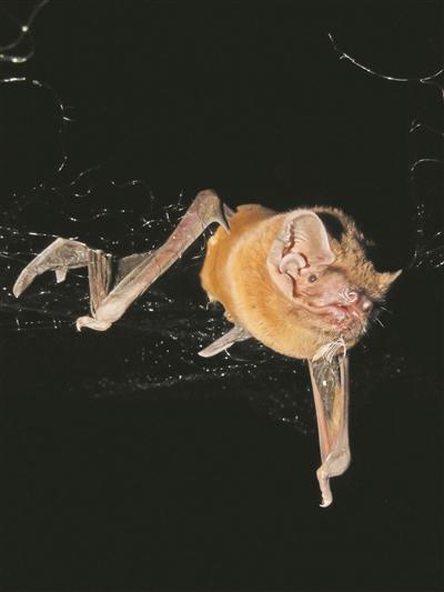 2025年10月30日 第36页