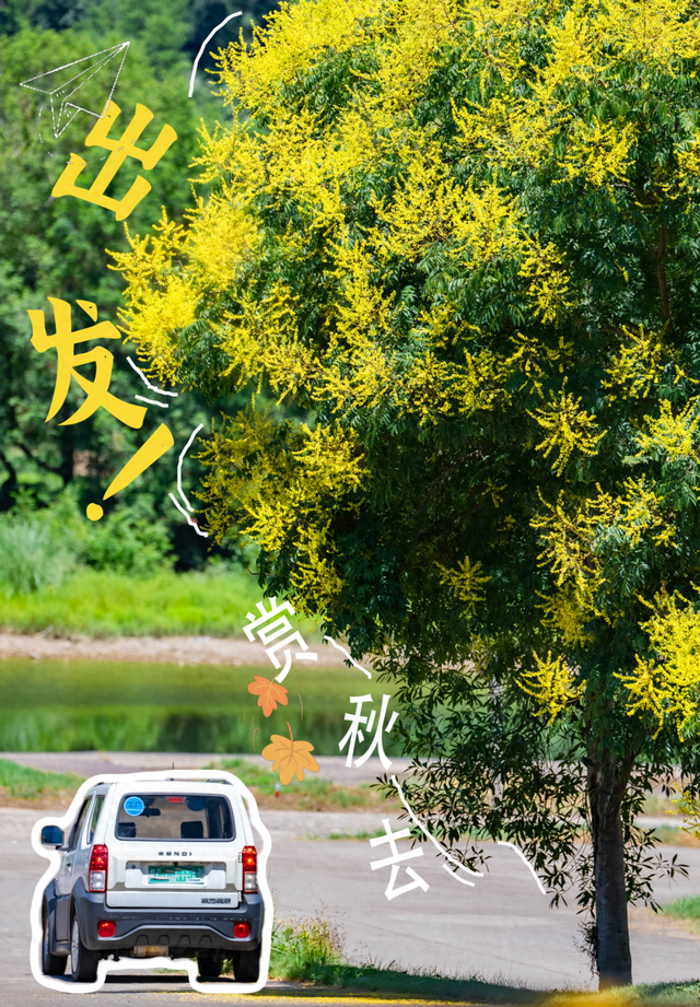 秋天武夷山给你一点颜色瞧瞧