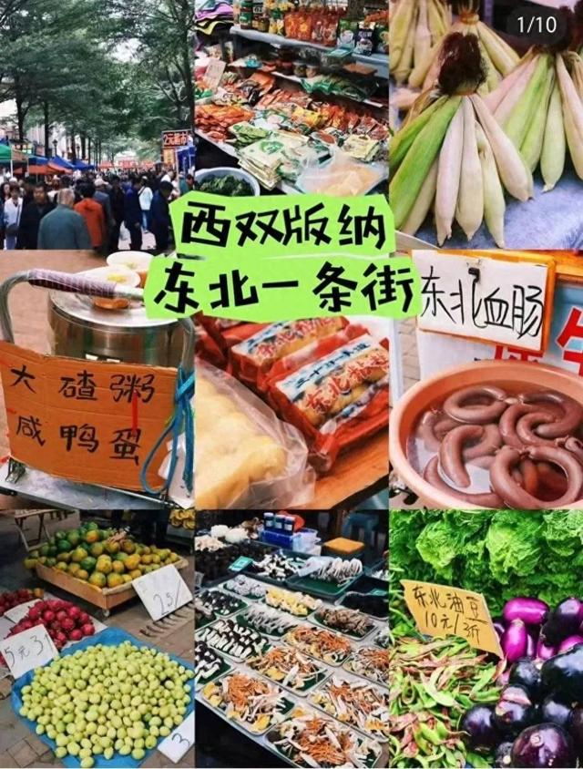 三亚地位不保？东北人悄悄换目的地，一去西双版纳就不想回来了