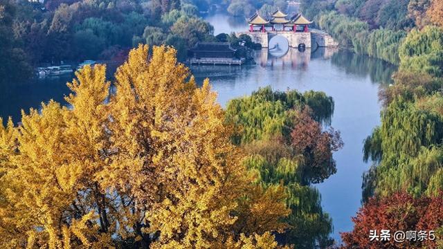 江苏扬州的冬天美得像一幅画！