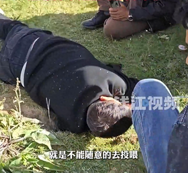 游客在川西自驾游车钥匙被土拨鼠偷走，当地回应：确有此事，挖了一个多小时的洞才找到
