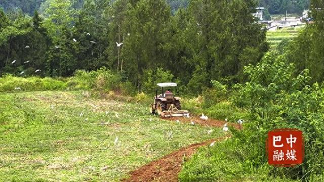 诗意山水只此青绿