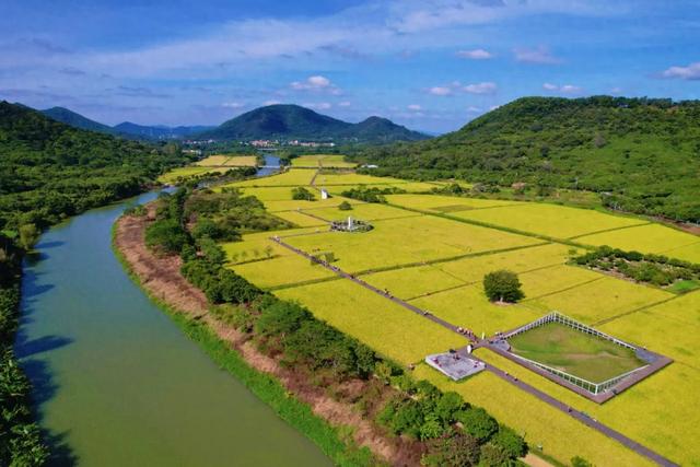 流溪河文化 | 艾米农业产业园：一溪润千亩，一稻美一城