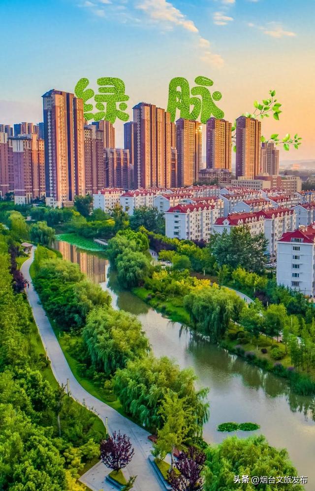 【乐游烟台】邂逅柳林河公园 开启生态宜居的森系时光