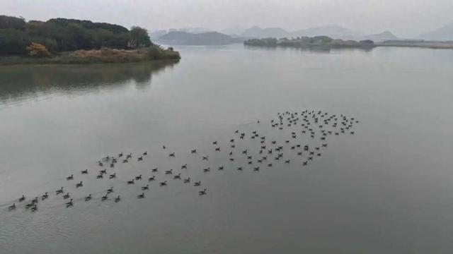 事关跨年，切记：城西这里，不约！不约！