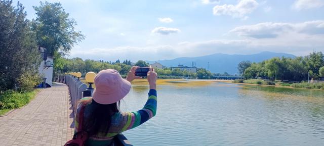 随拍掠影（二）稻香湖湿地与南沙河滨水绿廊秋色冬韵