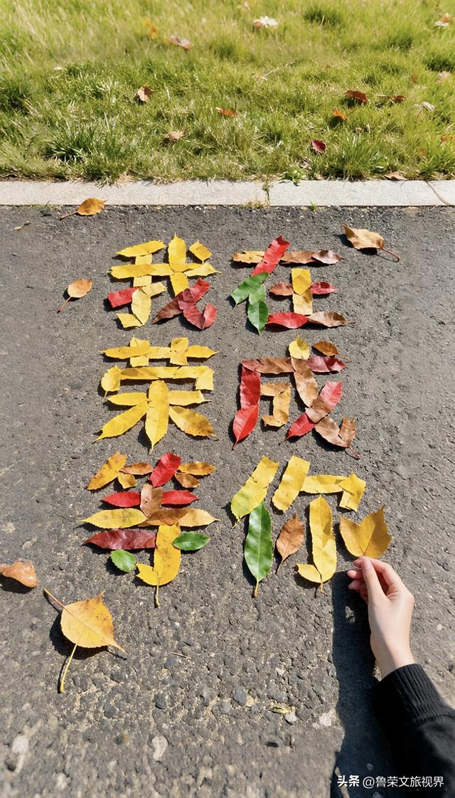 落叶拼荣成：一片秋黄，解锁山海九景