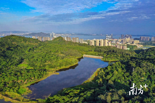 广州南沙：以自然城市之名，绘就大湾区人与自然共生新图景