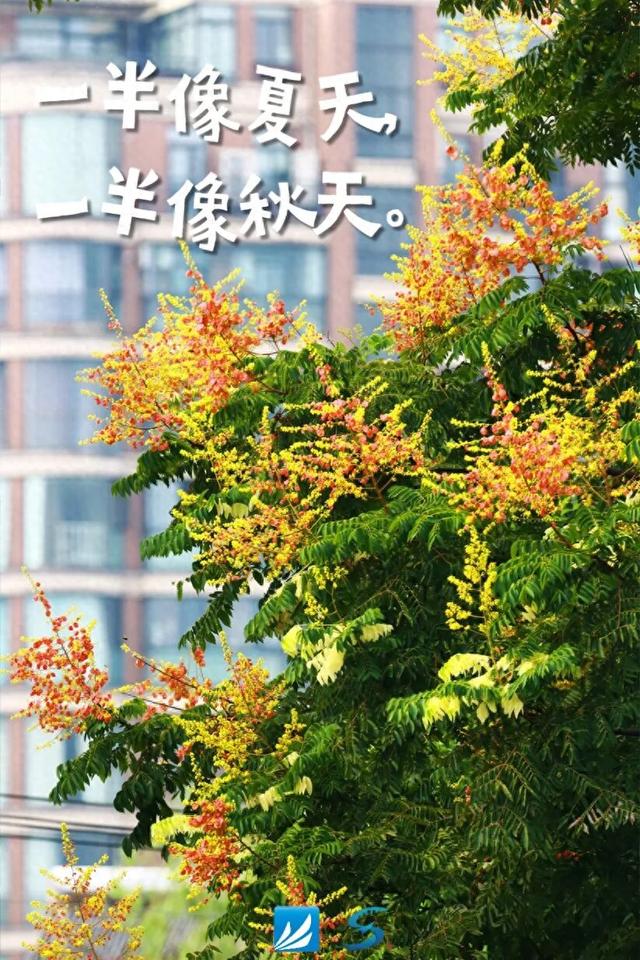 起猛了！萧山怎么变样了？！