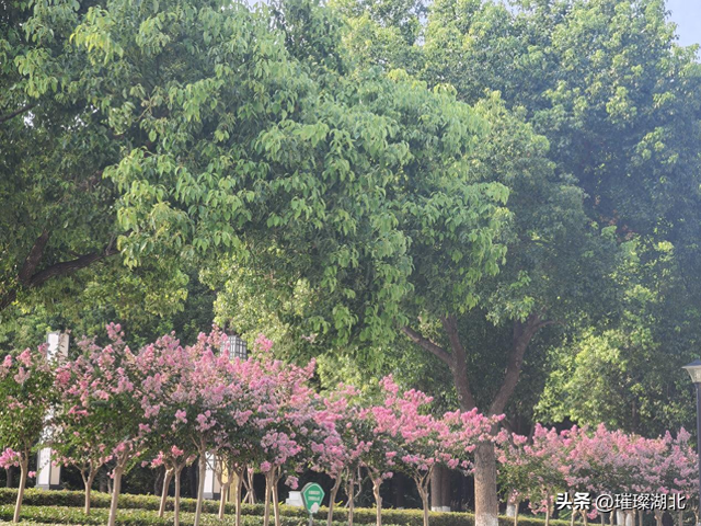 天门东湖夜韵：当喧嚣退去 一城温柔在此栖居