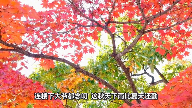 山东雨啥时停？官方预报给出准信，后续有反转？