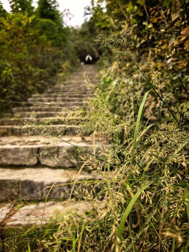 徒步的十大功劳