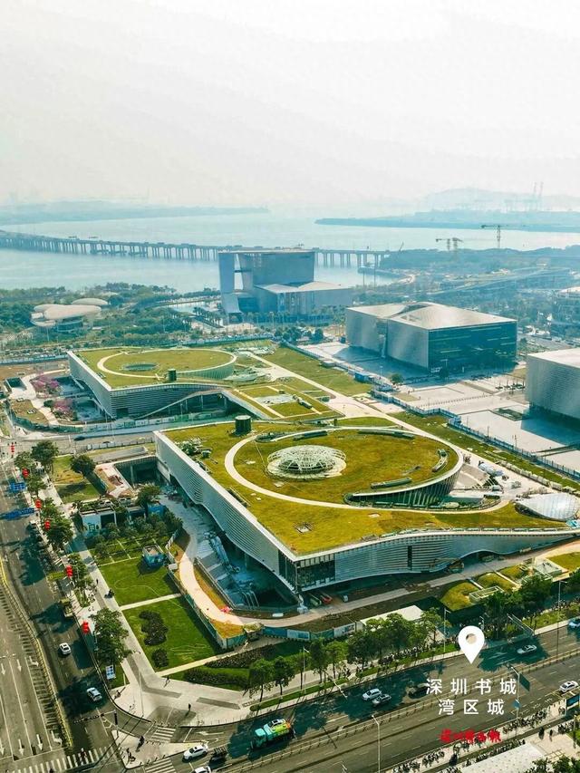 美丽深圳·每日一图｜2025年9月13日