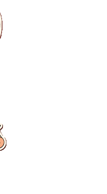 元旦徒步指南，请查收