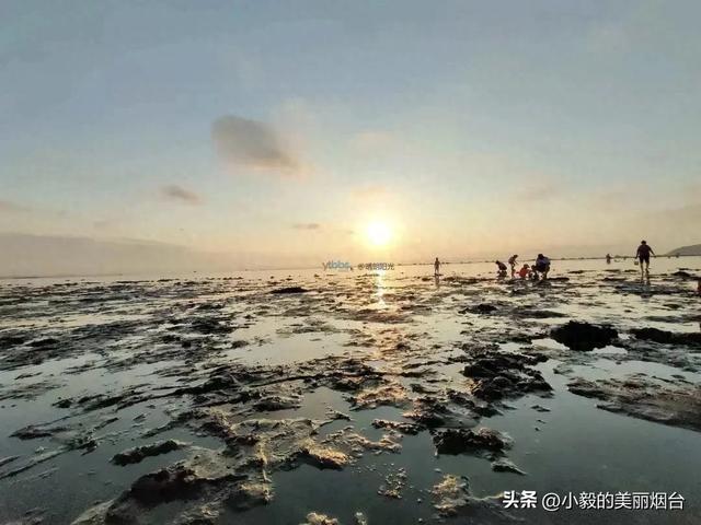 事关每一个烟台人！近期已开启全面整治！
