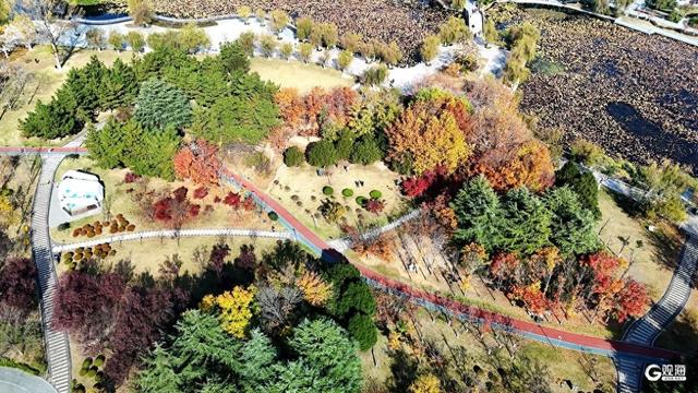 秋染双珠：斑斓叶色与湖光闲情