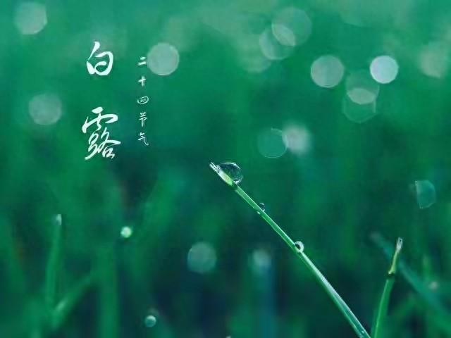 关于天气的谚语二年级（2025伞白露逢双民间谚语与气候变化的启示）