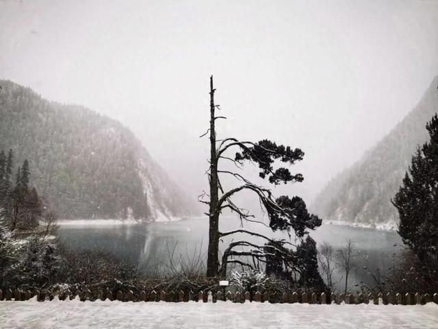 九寨沟景区:严禁一切非法穿越行为,如造成人身伤亡或财产损失,将自行承担全部责任