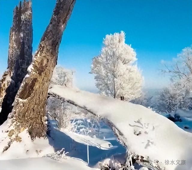 冬游徐水|好吃好看好游好玩等你来！