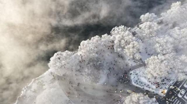 琼枝玉树映霞光，阿什雾凇岛现今冬“仙境”画卷