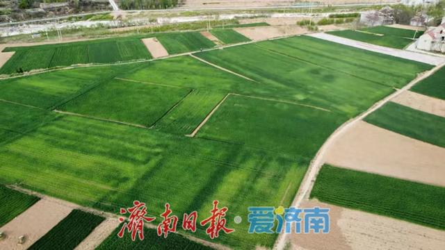 感受山水风光，品味独具特色的农产品与风味美食
