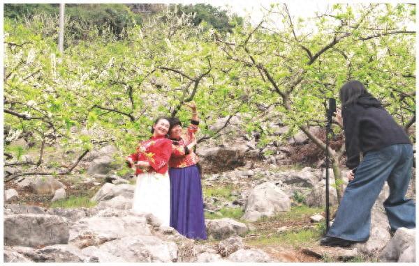 【新春走基层】市民游客畅游恭城“李花花海”