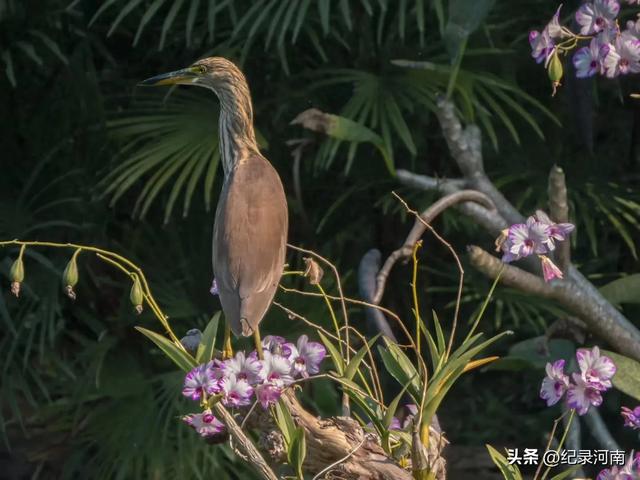 尽情地学习、经历、旅游,品尝美食时,就会发现,人生可以很美好