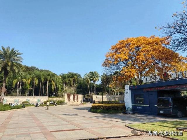 温州这个闹市中的公园,冬天亦有一番好风光!