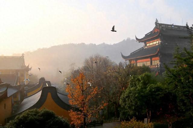 南方网评：灵隐寺景区 免票赚大钱