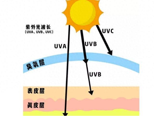 紫外线的三大作用（科普小知识紫外线的两面性）