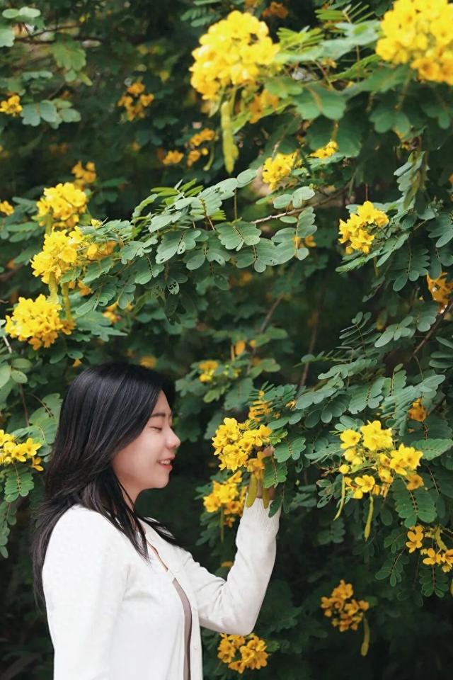 秋意浓，花开正艳！这周末，来东莞万江赏花秋游吧！