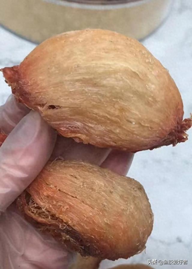土鳘鱼胶和血鳘鱼胶的区别 土鮸鱼胶