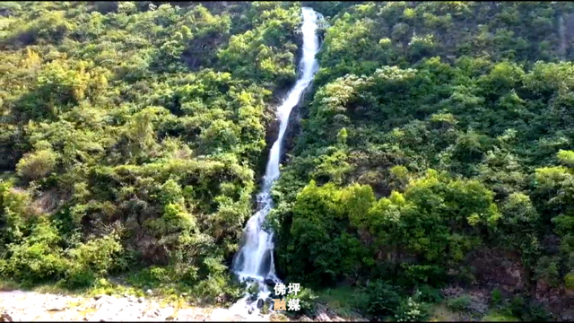 研学写生＋银发乐团！佛坪暑期游新业态生机盎然→