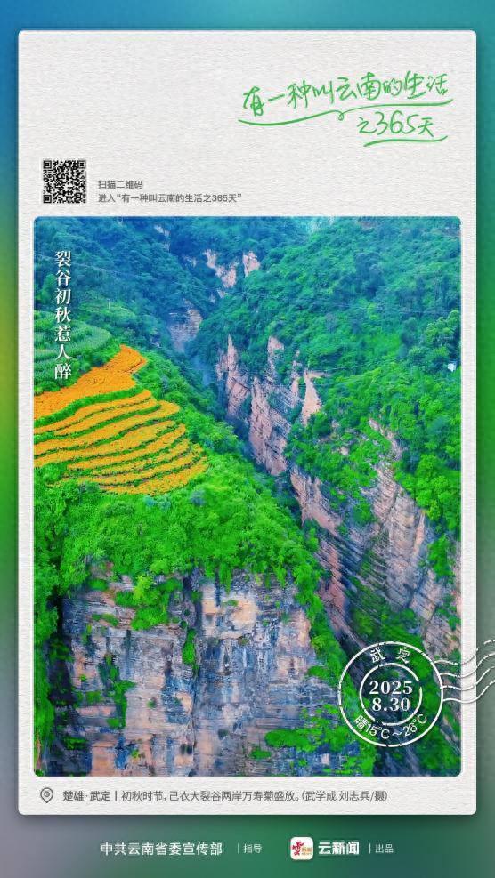 青峰披金甲，是在等谁来？——有一种叫云南的生活之365天