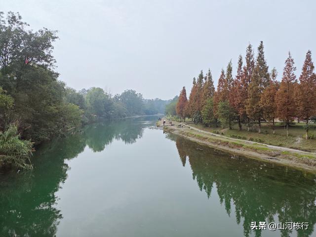 成都人的周末“偷闲”：上午三道堰喝茶，下午蝴蝶村遛娃