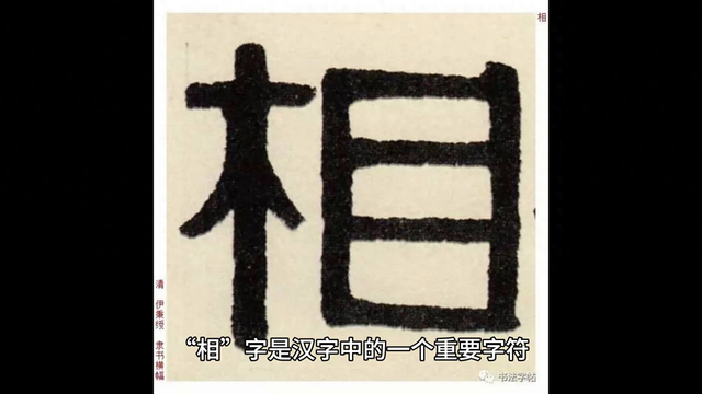 有关相的成语有哪些（汉字之美探索相字的古韵与现代意义🌿✨）