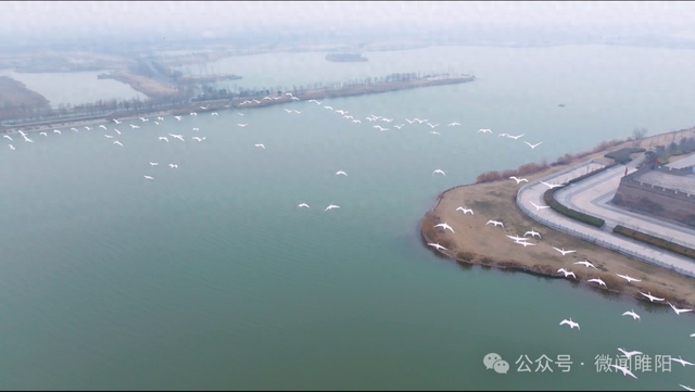 商丘市睢阳区：践行“两山”理念 绘就商丘古城生态新画卷