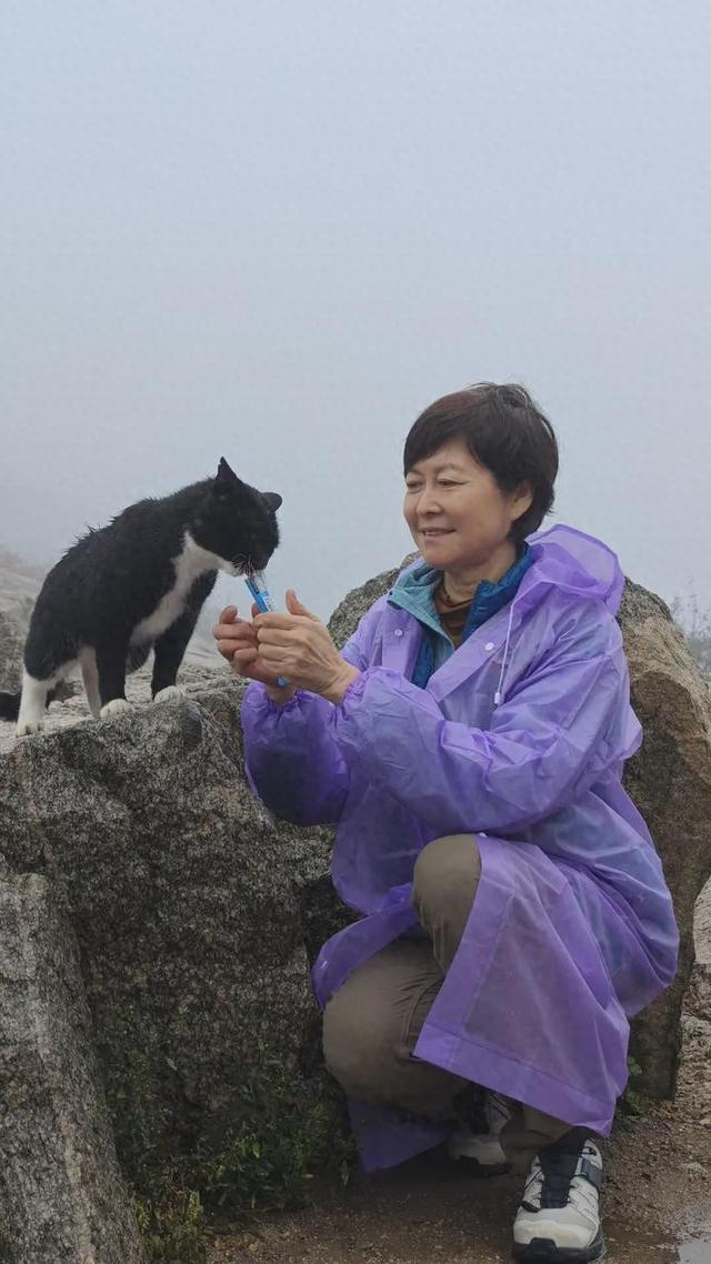 四十七年后著名主持人敬一丹再登泰山 “人生需要仪式感”