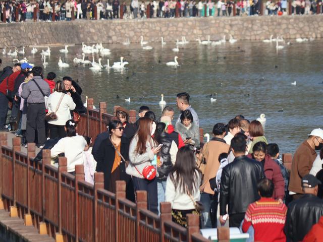 三门峡，北方冬日最热闹的城市