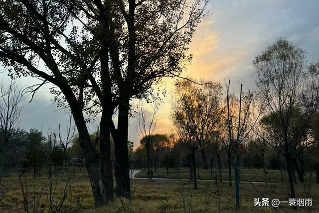 闲人日记12｜好久没去外面吃饭，周末在后海被价格吓退好几家