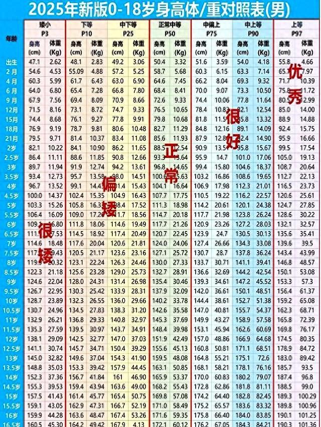2025年最新男孩身高体重标准！你家娃达标了吗？