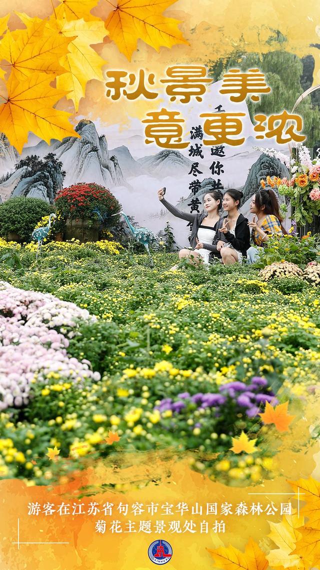 （图表·海报）秋景美 意更浓（4）