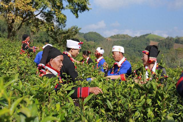 云南德昂族的“一日三盅”为何能留下远方游客？