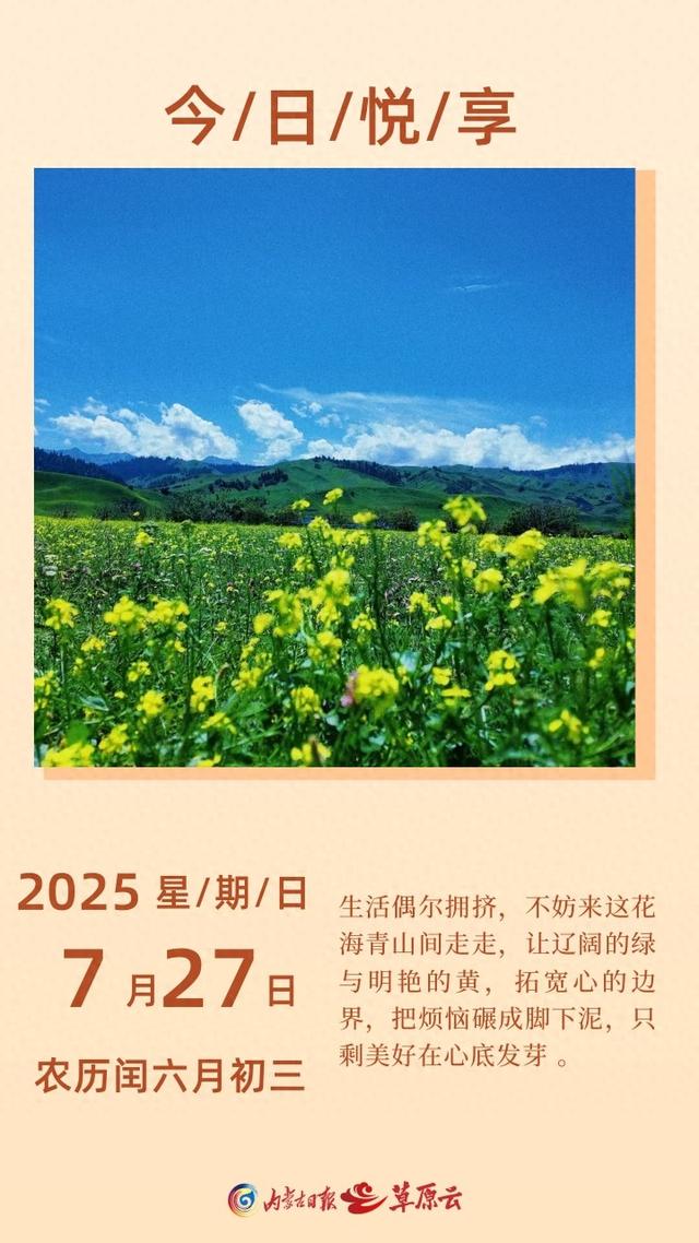 悦享丨大自然治愈拼图