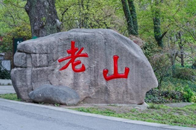 逃脱丛林攻略（逃离都市热浪南京老山森林公园超全攻略）