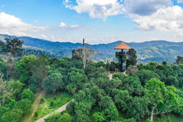 来一次古茶山之旅，去读懂贺开十五年的光阴故事