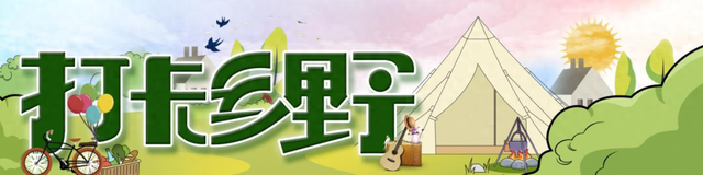 打卡乡野丨新年第一站，去上海离宇宙最近的村子，仰望星空，脚踏田野，开启元气新年