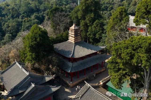 旅居祥云丨春来赏花 水目山“云南茶花王”如约绽放