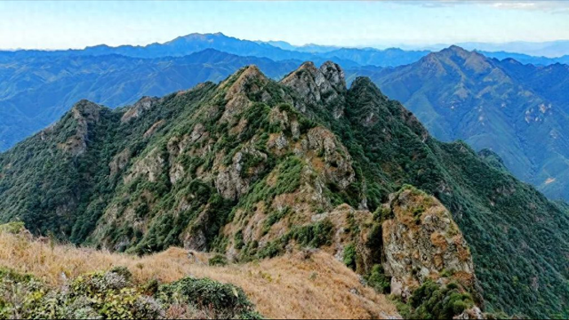 15人攀登老公顶，因大雾误入悬崖失联，被马蜂疯狂蜇咬毒蛇拦路