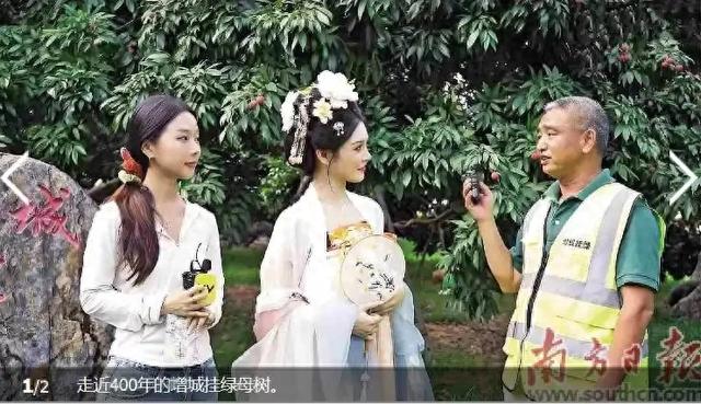 YY直播"宝地奇旅"走进增城：解锁荔枝之乡的文旅新玩法